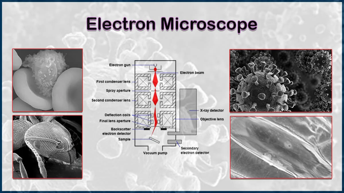 Electron Microscope: Principles, Types & Real-World Applications