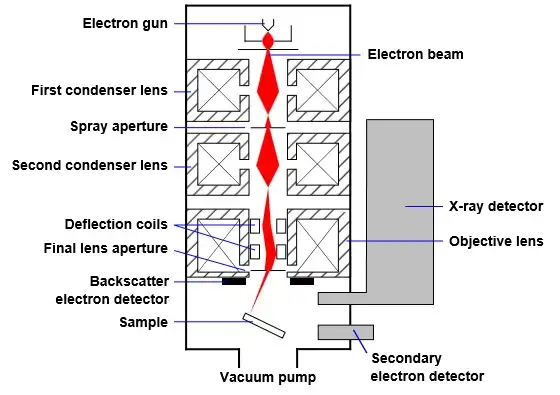 Schematic view of SEM imaging