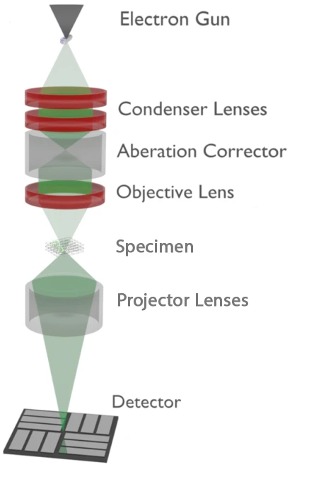 Transmission electron microscope components.