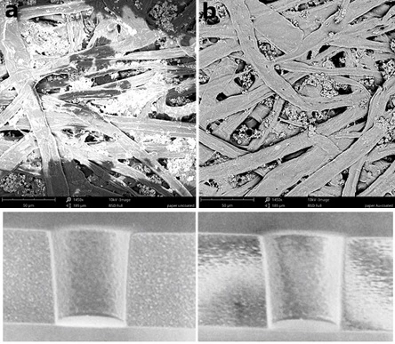 SEM images of non-conductinve (Left) and conductive (coated) (Right) samples