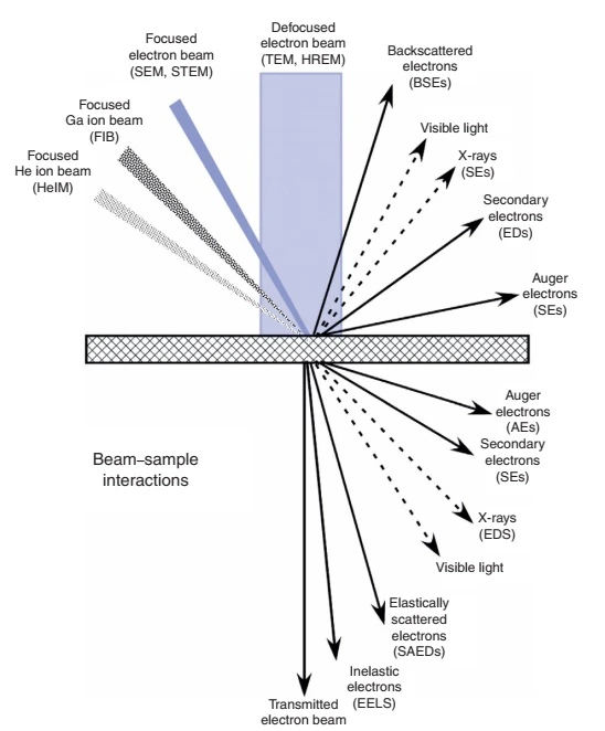 Electron beam-sample interactions