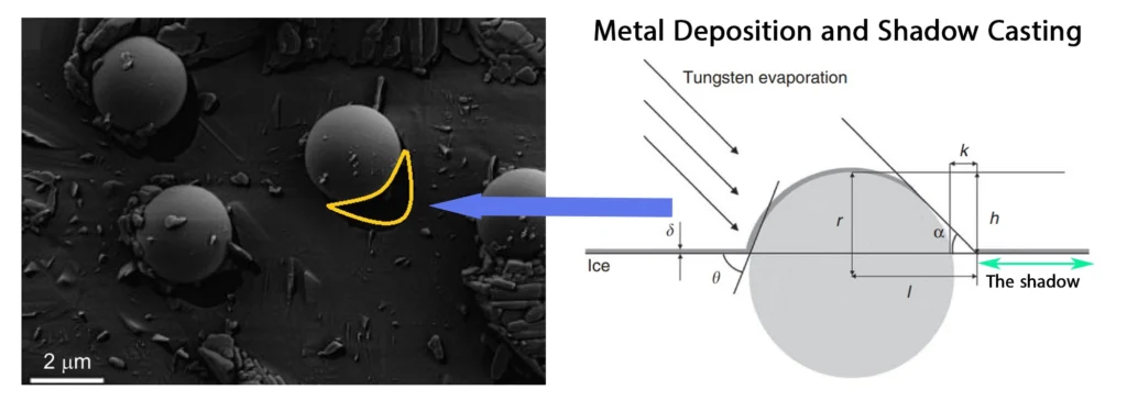 Cryo-SEM of Freez-fracture Shadow-Casting of nanoparticles at liquid-liquid interface, shadow labelled in the SEM image with the yellow arc.