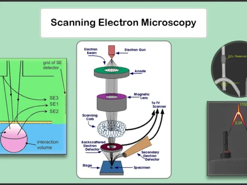 Scanning Electron Microscopy (SEM)
