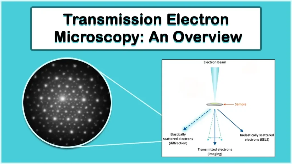 Transmission Electron Microscope TEM