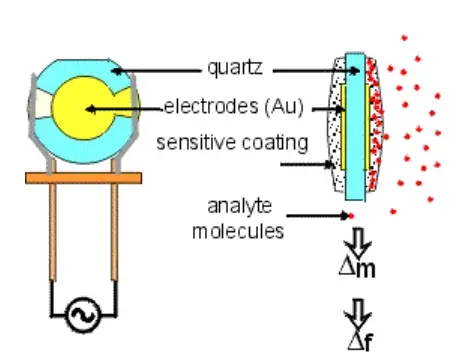 Quartz crystal mass detection procedure