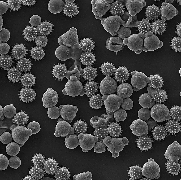 SEM Image a-3 with Vac Coat