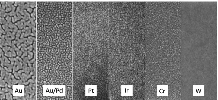 SEM images of sputter coated glass samples with 2 nm thickness layer of different materials.