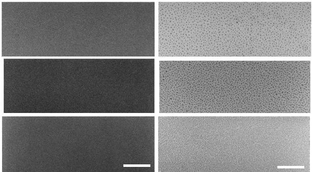 Planar magnetron sputtered Au/Pd (up), Pt (middle), and Cr (down) thin films with 1.5 nm thickness. Left: FESEM images, Right: TEM images (Scale bar = 50 nm). 