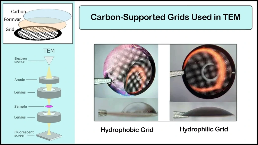 Vac TEM Grids Grids in Transmission Electron Microscopy