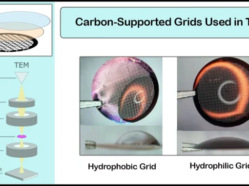 Grids in Transmission Electron Microscopy Grids in Transmission Electron Microscopy