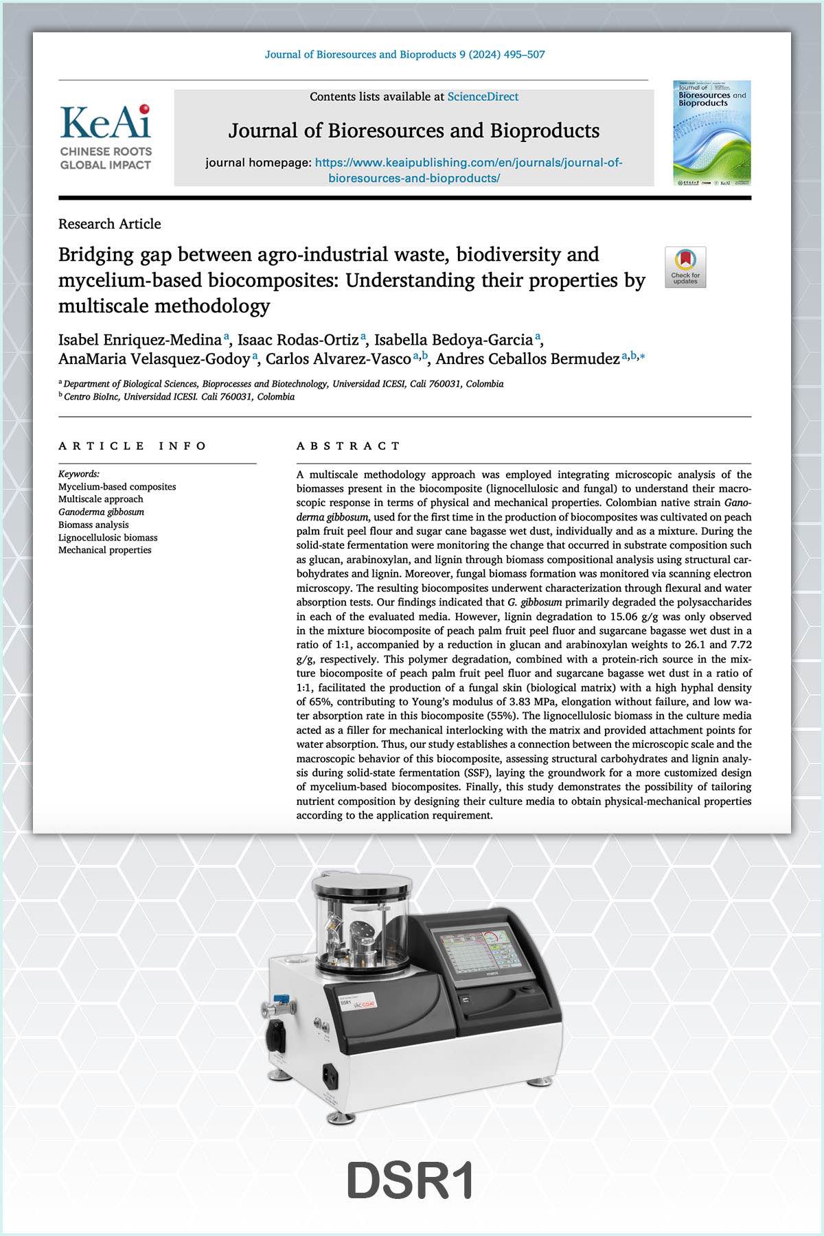 Article Medina