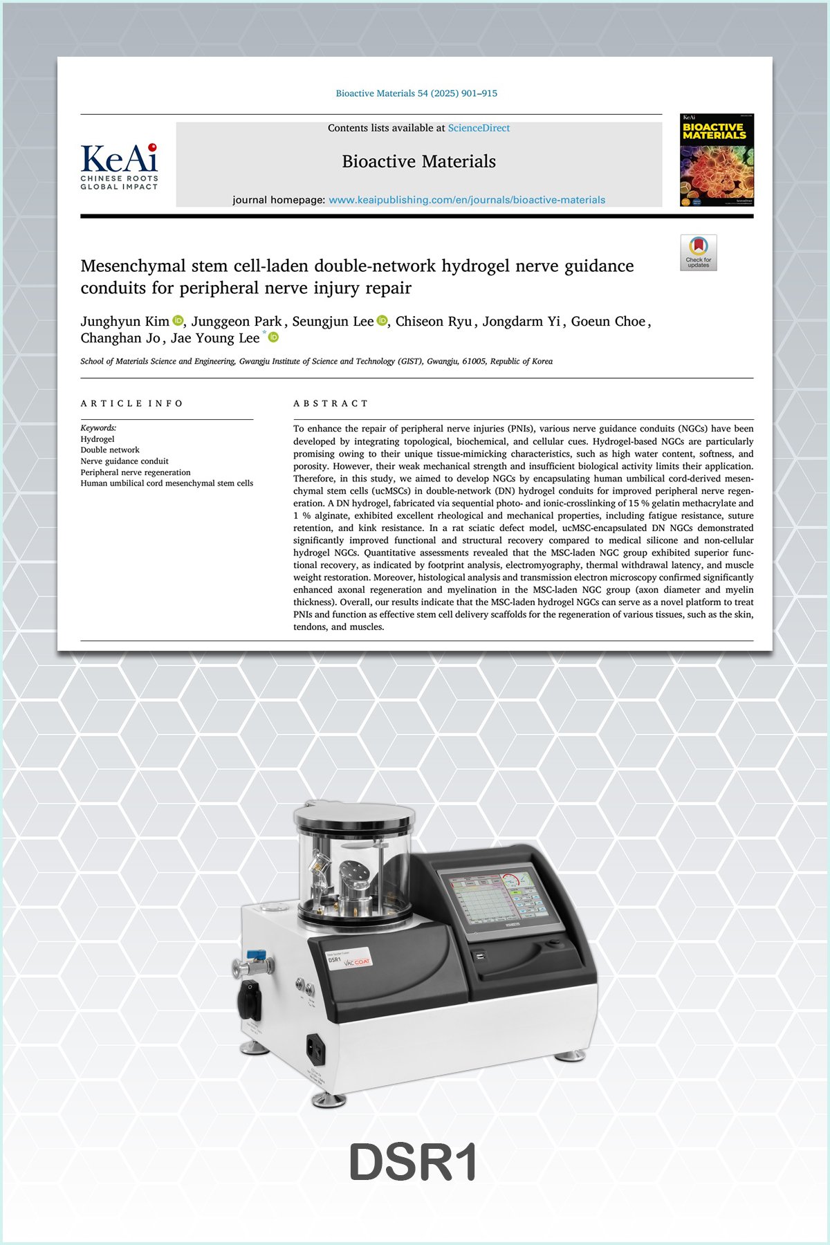 Article Mesenchymal