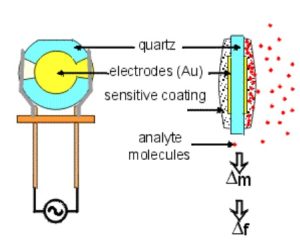 Quartz Crystal Mass Detection Procedure