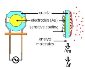 Figure 1. Quartz Crystal Mass Detection Procedure Quartz Crystal Mass Detection Procedure