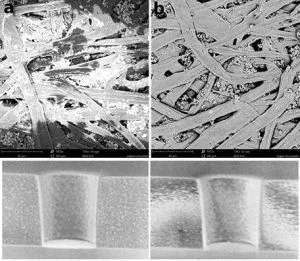 Figure 1. SEM Images of Non-Conductinve (Left) and Conductive (Coated) (Right) Samples SEM Images of Non-Conductinve (Left) and Conductive (Coated) (Right) Samples