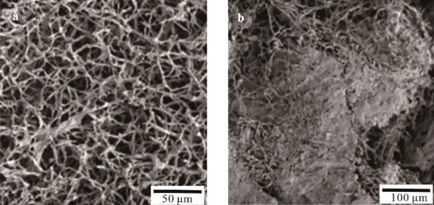 Figure 1. Scanning electron microscopy (SEM) images of (a) surface and (b) internal structure of a bio-composite. Figure 1. Scanning electron microscopy (SEM) images of (a) surface and (b) internal structure of a bio-composite.