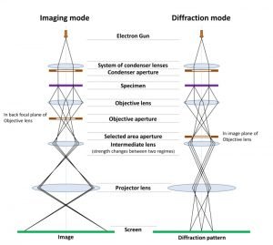 What Is An Electron Microscope? 4 Types Of EM - VacCoat