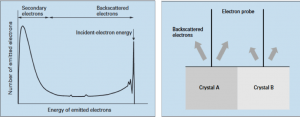 What Is An Electron Microscope? 4 Types Of EM - VacCoat