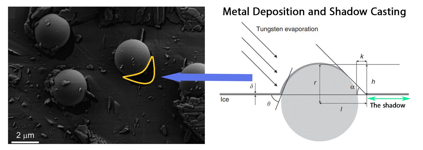 Cryo-SEM of Freez-fracture Shadow-Casting of nanoparticles at liquid-liquid interface, shadow labelled in the SEM image with the yellow arc.