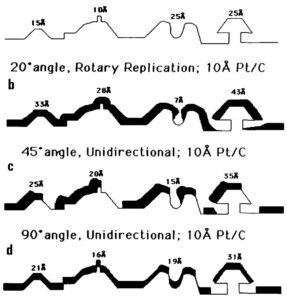 Figure 5. Shadow casting thin films of Platinum/Carbon layers on a surface with an intricate structure.