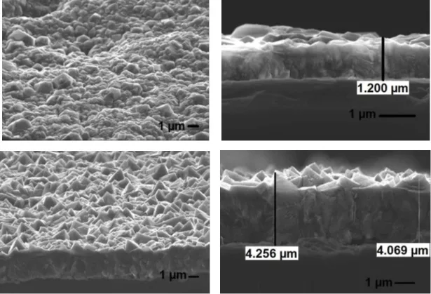 Surface Morphology and Cross-Sectional images of Carbon Coated