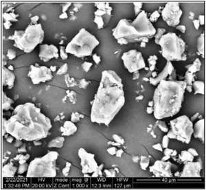 α-1,3-glucan particles observed with scanning electron microscope