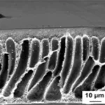 SEM micrographs in "Effect of the Addition of Polyacrylic Acid of Different Molecular Weights to Coagulation Bath on the Structure and Performance of Polysulfone Ultrafiltration Membranes"
