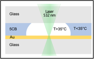 Schematic of the temperature measurement using the 5CB technique