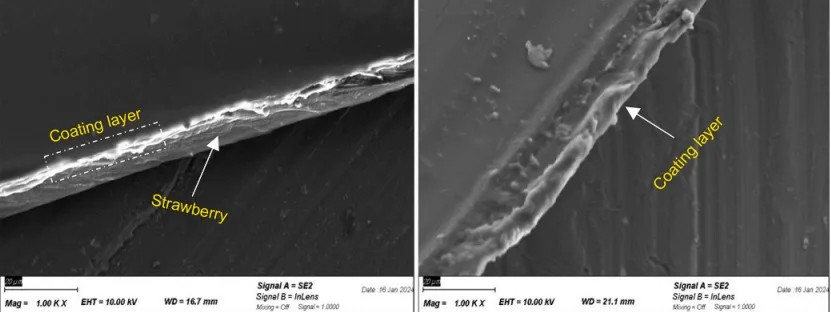 Strawberry coated with 9 % LMPI-stabilized NEs containing EEO