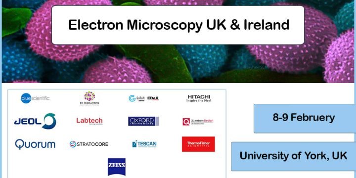 Electron Microscopy UK and Ireland 2024