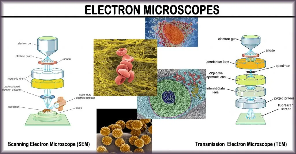 Vac SEM Electron Microscope