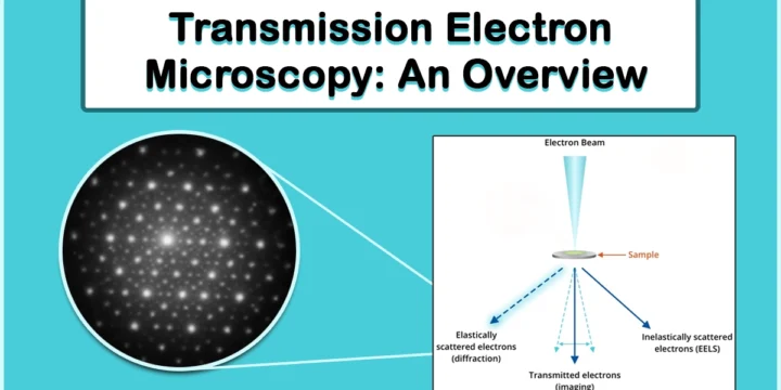 Transmission Electron Microscopy (TEM)