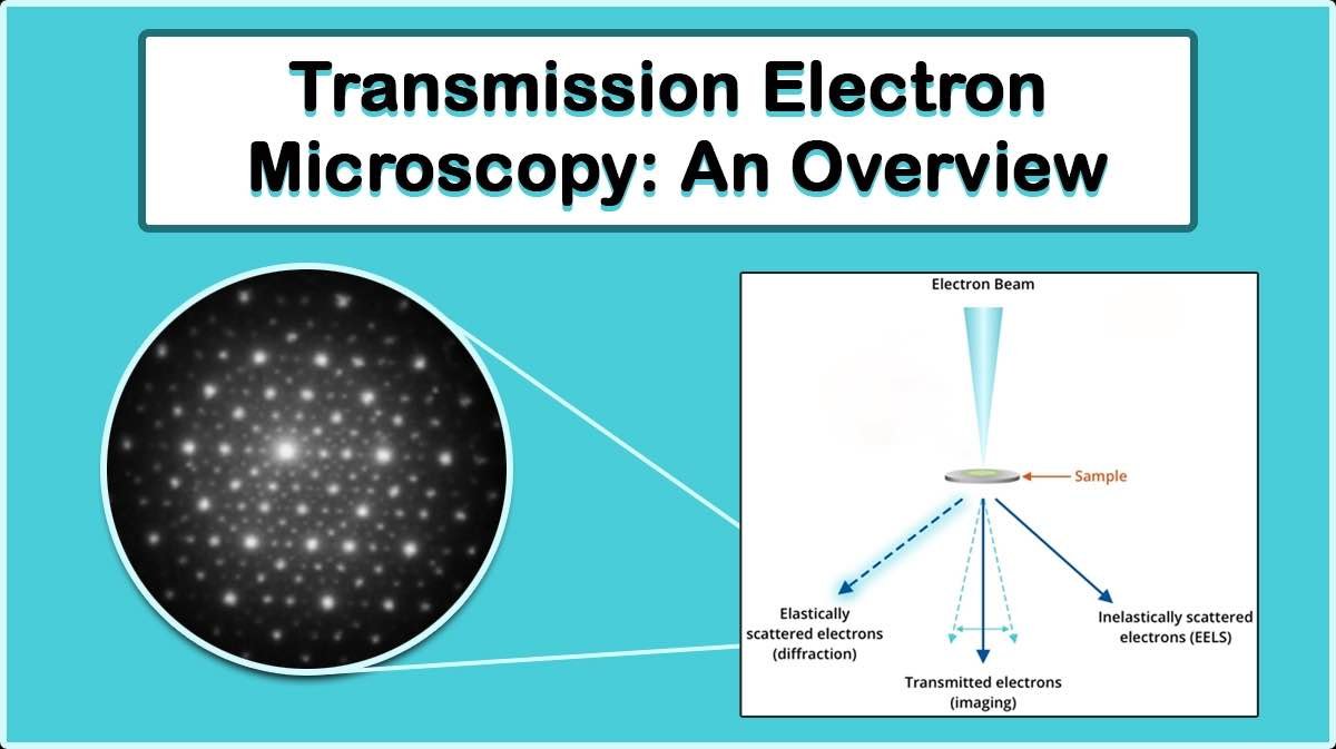 Transmission Electron Microscopy (TEM) Transmission Electron Microscopy (TEM)