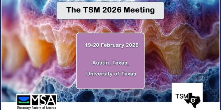 The TSM 2026 Meeting