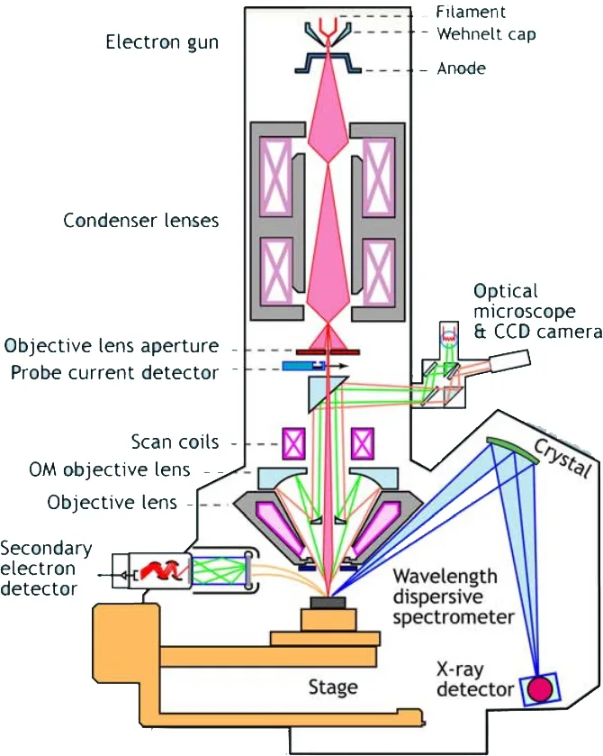 Schematic of An Electron Microprobe with WDS Analyzer Schematic of An Electron Microprobe with WDS Analyzer