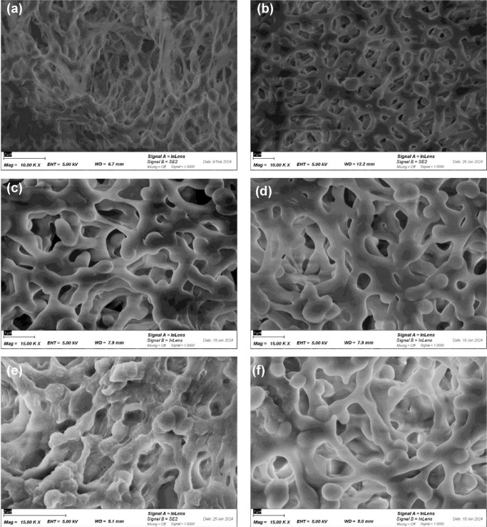 SEM images of PVDF (a,c,e) and PES (b,d,f) membranes before (a,b) and after chitosan functionalization (c,d), and virus immobilization (e,f).